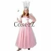 Movie/TV The Wizard Of Oz Series Witch Costumes Princess Cosplay Costume