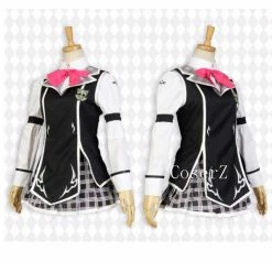 Anime Chivalry Of A Failed Knight Stella Vermillion Cosplay Costume