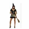 Movie/TV The Wizard Of Oz Witch Cosplay Costume