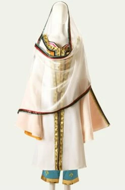 Aladdin 2019 Princess Jasmine Costume For Adults The Real Life Version Outfits